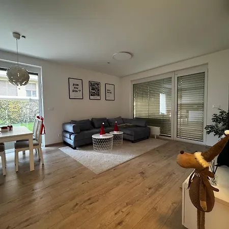 Ba With Free Garage Parking, Huge Outside Area Apartment *